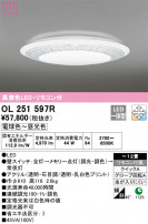 ODELIC ǥå 󥰥饤 OL251597R