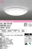 ODELIC ǥå 󥰥饤 OL251611R