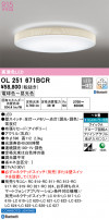 ODELIC ǥå 󥰥饤 OL251671BCR