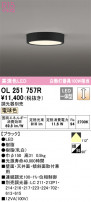ODELIC ǥå 󥰥饤 OL251757R