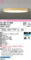 ODELIC ǥå 󥰥饤 OL291417BR