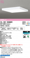ODELIC ǥå 󥰥饤 OL291508BR
