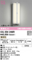 ODELIC ǥå ƥꥢ饤 OG254248R
