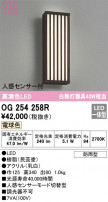 ODELIC ǥå ƥꥢ饤 OG254258R