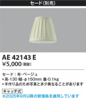 Koizumi �������߾��� ������ AE42143E