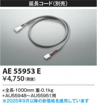 Koizumi ߾ Ĺ AE55953E