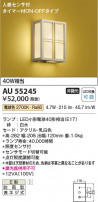 Koizumi ߾ LEDɱ֥饱å AU55245
