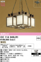 ODELIC �����ǥ�å� �����ڥ����ȥ饤�� OC114245LR1