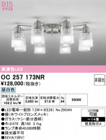 ODELIC �����ǥ�å� �����ǥꥢ OC257173NR