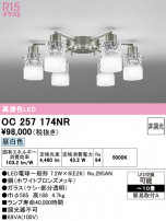 ODELIC �����ǥ�å� �����ǥꥢ OC257174NR