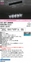 ODELIC �����ǥ�å� �����ǥꥢ OC257269BR