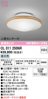ODELIC �����ǥ�å� ����������󥰥饤�� OL011250NR