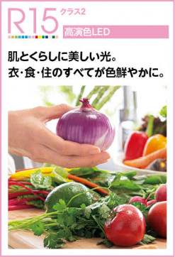 R15鿧LED | ODELIC ǥå ڥȥ饤 OP252685BR | ̿ 饤ȥ