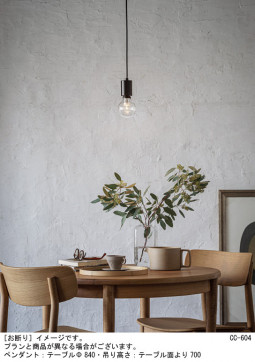 Panasonic �ڥ����� LGB15800 �̿�2