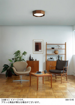 Panasonic ������󥰥饤�� LGC21183 �̿�1