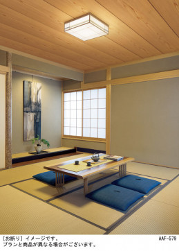 Panasonic ������󥰥饤�� LGC35821 �̿�1