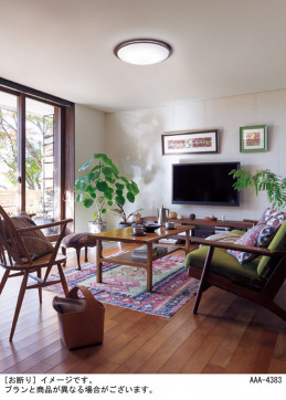 Panasonic ������󥰥饤�� LGC51149K �̿�2