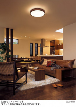 Panasonic ������󥰥饤�� LGC51151K �̿�1