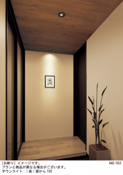 Panasonic ������饤�� LGDC3105LLE1 �̿�1