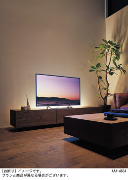 Panasonic  SF062W ̿2