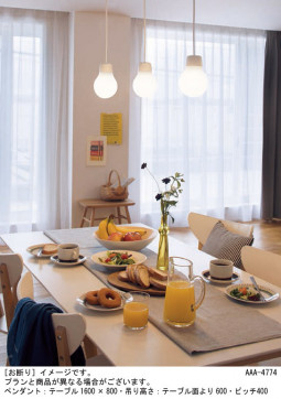 Panasonic �ڥ����� LGB11058WCE1 �̿�1