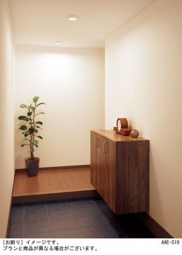 Panasonic ������󥰥饤�� LGB51605LB1 �̿�2