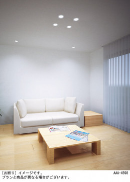 Panasonic ������饤�� LGD1120LQ1 �̿�5