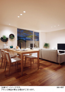 Panasonic ������饤�� LGD1200LQ1 �̿�5