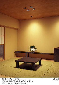 Panasonic ������饤�� LGD3104LU1 �̿�1