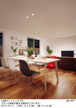 Panasonic ������饤�� LGD3130NLB1 �̿�2