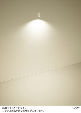 Panasonic ���ݥåȥ饤�� LGS3003LU1 �̿�5