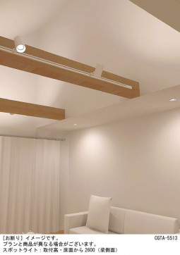 Panasonic ���ݥåȥ饤�� LGS3501NLE1 �̿�3