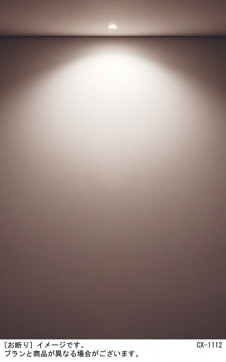 Panasonic ƥꥢ饤 LRD1011VLE1 ̿4