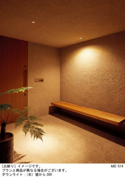 Panasonic ƥꥢ饤 LRD1030NLE1 ̿1