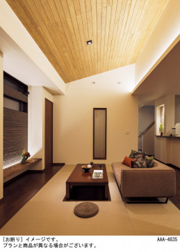 Panasonic ۲ LSEB9027LB1 ̿5