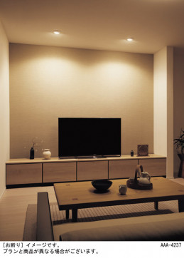 Panasonic ������饤�� XAD1412VCE1 �̿�1