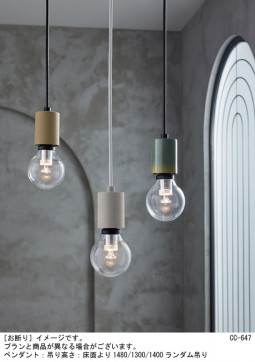 Panasonic �ڥ����ȥ饤�� LGB15809 �̿�1