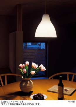 Panasonic �ڥ����ȥ饤�� LGB16765K �̿�3