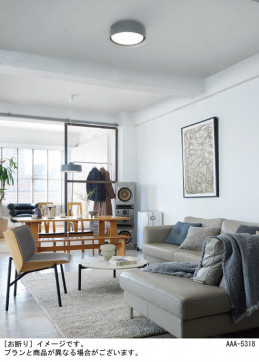 Panasonic ������󥰥饤�� LGC21184 �̿�3