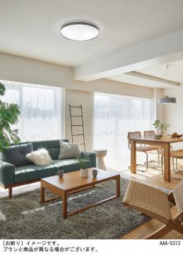 Panasonic ������󥰥饤�� LGC31166 �̿�2