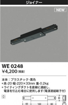β | Koizumi ߾ 祤ʡ WE0248