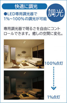 �����|DAIKO ����ŵ� LED������饤�� DDL-5672YBG