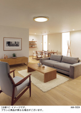 Panasonic ������󥰥饤�� LGC52123 �̿�1