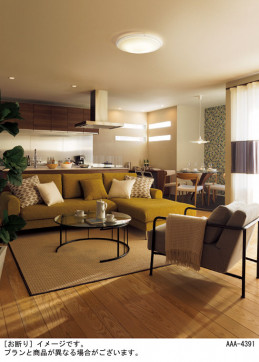 Panasonic �ڥ����� LSEB3111Z �̿�4