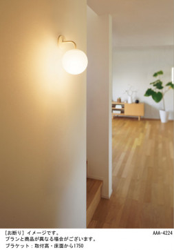 Panasonic �֥饱�å� SLB71531B �̿�1