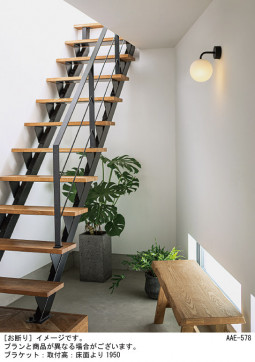 Panasonic �֥饱�å� SLB81531W �̿�2