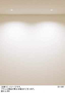 Panasonic ������饤�� SLD1010LLB1 �̿�2