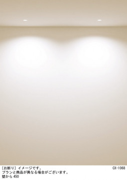 Panasonic ������饤�� SLD1010LLB1 �̿�3