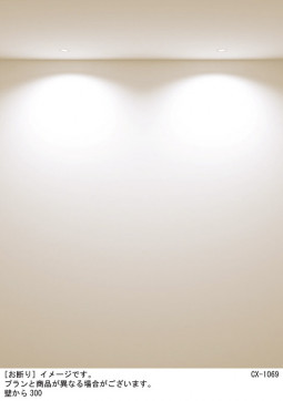 Panasonic ������饤�� SLD1010LLB1 �̿�4