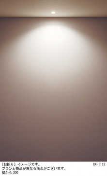 Panasonic ������饤�� SLD1010NLB1 �̿�2